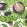 Carnival Fabric by Christopher Farr Cloth Blueberry