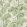 Casablanca Afternoon Wallpaper by Langelid Von Bromssen Palm Green