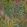 Cascade Wallpaper by Cole & Son Leaf Green