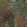 Cascade Jacquard Fabric by Cole & Son Leaf Green