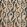 Castillo Fabric by Osborne & Little Aqua/Sienna