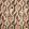 Castillo Fabric by Osborne & Little Charcoal/Terracotta