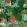 Castle's Garden Wallpaper by MINDTHEGAP Verdant Green