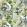 Celadon Vase Fabric by Designers Guild Celadon