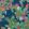 Central Park Wallpaper by Thibaut Navy And Pink