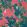 Central Park Wallpaper by Thibaut Pink