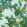 Central Park Wallpaper by Thibaut Sky Blue