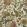 Chameleon Trail Fabric by Josephine Munsey Dusty Pinks and Olive