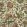Chameleon Trail Wallpaper by Josephine Munsey Dusty Pinks and Olive