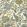 Chameleon Trail Fabric by Josephine Munsey Lemon and Light Blue