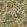 Chameleon Trail Wallpaper by Josephine Munsey Plaster Pink, Ochre and Blue