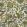 Chameleon Trail Wallpaper by Josephine Munsey Sage Green