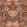 Chardon Wallpaper by Casamance Cognac / Nude