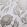Chatsworth Wallpaper by 1838 Wallcoverings Ivory Cream