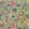 Chatterpie Linen Fabric by Ian Sanderson Paradise