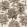 Chestnut Tree Wallpaper by Coordonne Clay