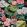 Chiang Mai Dragon Wallpaper by Schumacher Ebony