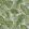 Chile Palm in Lovell Jacquard Fabric by Liberty Lichen