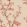 Chinese Branch Wallpaper by Cole & Son Ginger