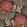 Chinese Damask Wallpaper by Coordonne Sage