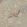 Chintz 21 Grasscloth Wallpaper by Parker & Jules Sepia Stone