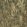 Cinnabar Fabric by Arley House Camouflage