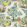 Citrus Garden Fabric by Schumacher Lime