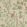 Claire Fabric by Thibaut Coral and Green