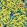 Emma J Shipley Rousseau Fabric by Clarke & Clarke Lime