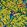 Emma J Shipley Rousseau Velvet Fabric by Clarke & Clarke Lime