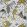 Emma J Shipley Audubon Wallpaper by Clarke & Clarke Gold