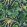 Monkey Business Fabric by Clarke & Clarke Indigo