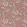 Palampore Fabric by Clarke & Clarke Blush