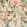 Botany Fabric by Clarke & Clarke Tropical