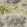 Fiore Fabric by Clarke & Clarke Charcoal / Chartreuse
