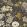 Passiflora Fabric by Clarke & Clarke Charcoal