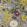 Passiflora Fabric by Clarke & Clarke Slate / Amethyst