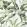 Majorelle Fabric by Clarke & Clarke Ivory