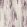 Latour Fabric by Clarke & Clarke Damson