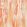 Latour Fabric by Clarke & Clarke Spice