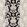 Camelia Fabric by Clarke & Clarke Raven