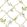 Clematis on Bamboo Trellis Wallpaper by Alice Crawley Green