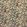 Clemence Fabric by Casal Epice