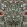 Coccinella Bella Wallpaper by Moooi Sage Green