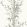 Bamboo Wallpaper by Cole & Son Taupe