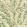Florencecourt Wallpaper by Cole & Son Olive