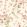Sweet Pea Wallpaper by Cole & Son Coral & Olive