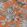 Savuti Wallpaper by Cole & Son 1001