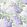 Lilac Wallpaper by Cole & Son Lilac & Dove on White