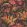Rose Wallpaper by Cole & Son Cerise & Burnt Orange on Black